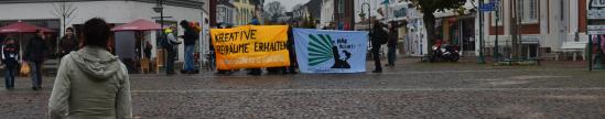 Spontandemonstration in der Segeberger Fußgängerzone, 1. November 2012 (Foto: HaK) Spontandemonstration auf dem Segeberger Markt, 1. November 2012 (Foto: HaK)