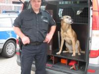 POK Daniel Nowak (Foto: Polizei Segeberg) POK Daniel Nowak (Foto: Polizei Segeberg)