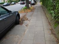 Der Senat hält die Radwege entlang der Trasse für unsanierbar, die Polizei empfhielt die ihre vollständige Überplanung - dennoch passiert bislang nichts (Foto: GAL) Maroder Radweg entlang der Langenhorner Chaussee