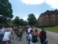 Fahrradsternfahrt 2012, Höhe Krohnstieg: Fahrradsternfahrt auf der Langenhorner Chaussee, Juni 2012